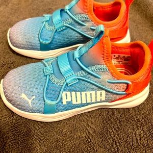 Cute colorful Pumas